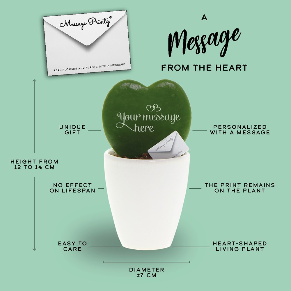 Message Printz® - Herzblatt-Pflanze, Ohne Verpackung